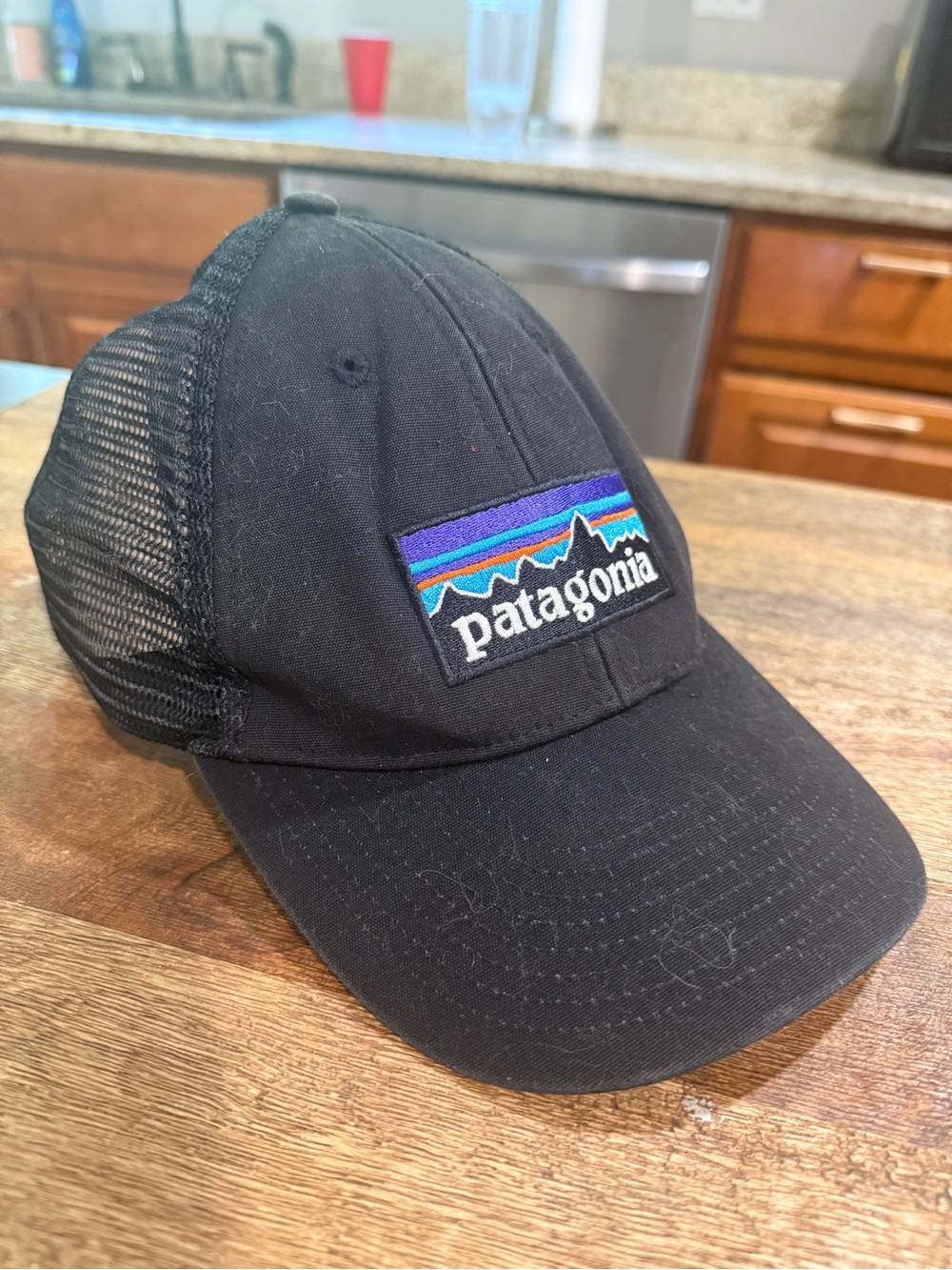 Patagonia Black Trucker Hat with Multicolor Logo Patch
